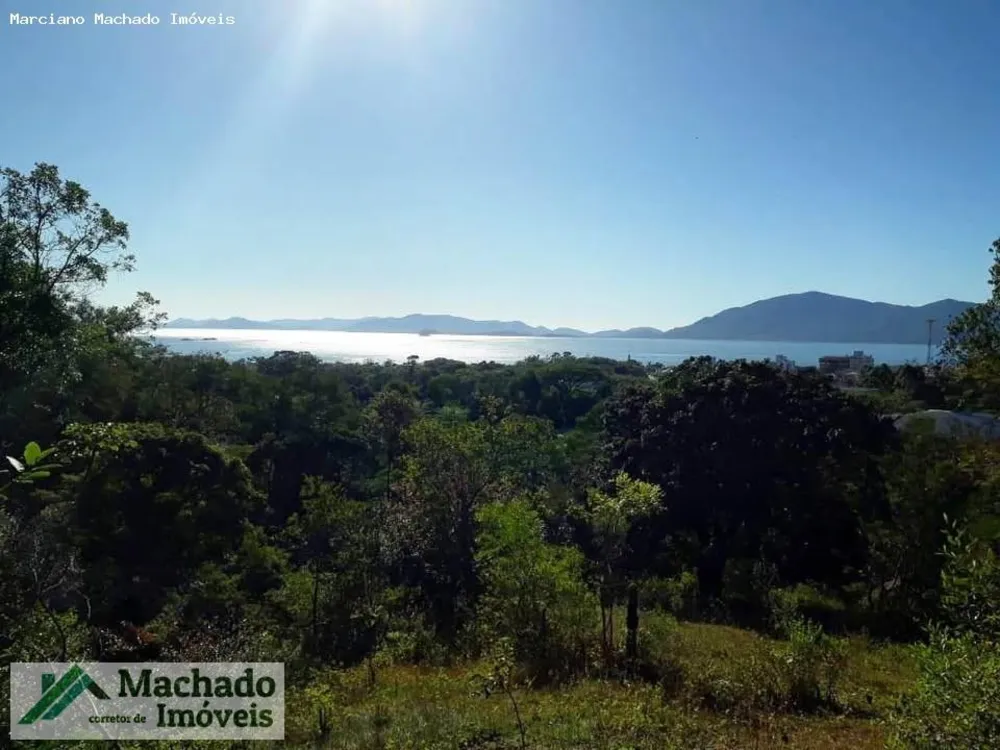 Chácara, 4 hectares - Foto 8