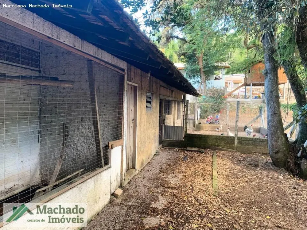 Chácara, 4 hectares - Foto 6