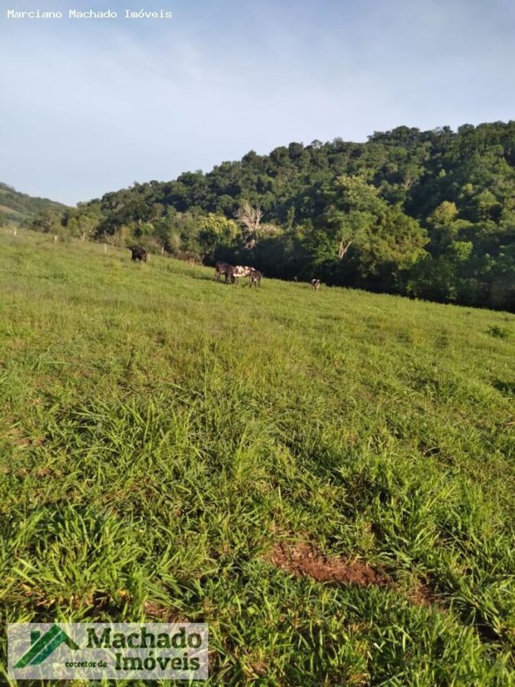 Loteamento e Condomínio à venda, 480000m² - Foto 8
