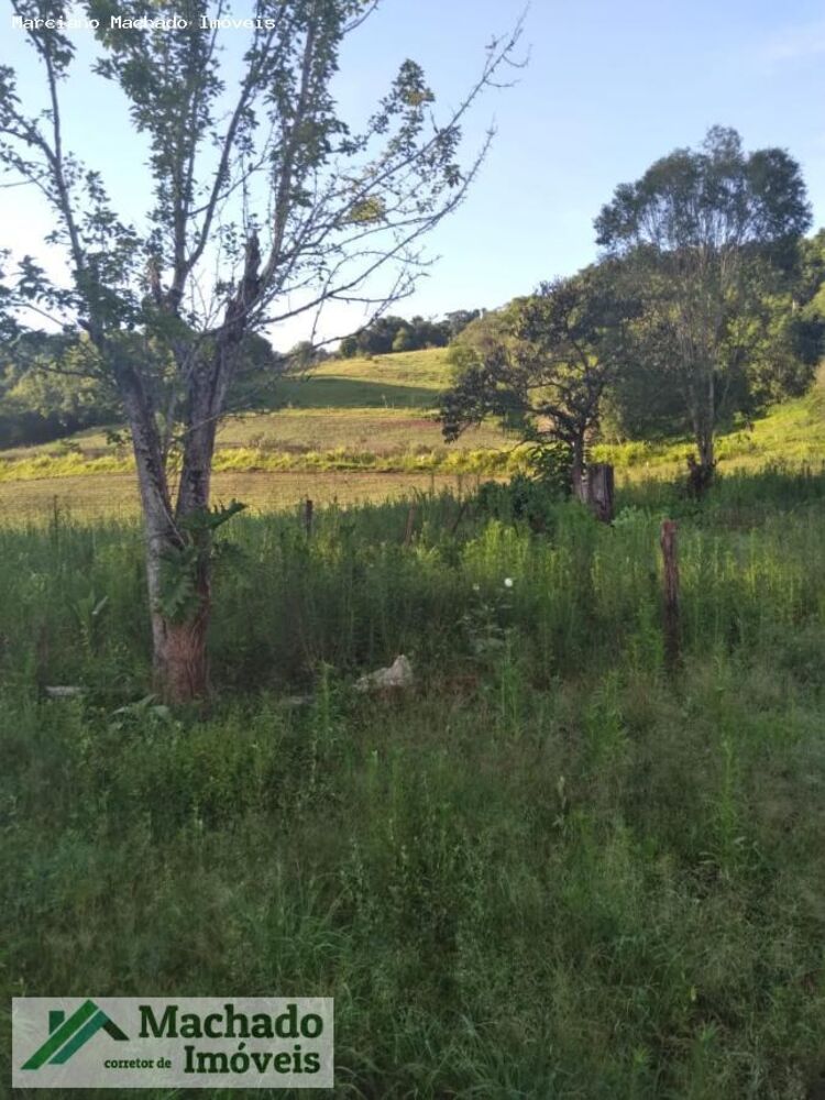 Loteamento e Condomínio à venda, 480000m² - Foto 7