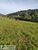 Loteamento e Condomínio, 48 hectares - Foto 8