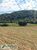 Loteamento e Condomínio, 48 hectares - Foto 2