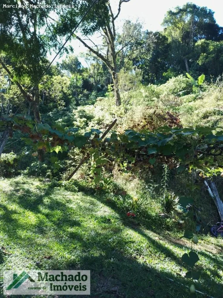 Casa - Foto 5