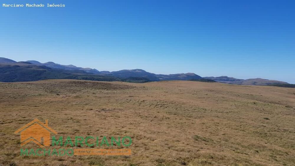 Sítio, 575 hectares - Foto 9