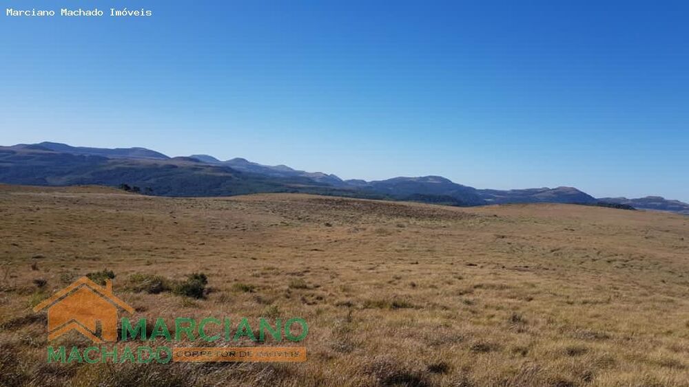 Sítio, 575 hectares - Foto 1