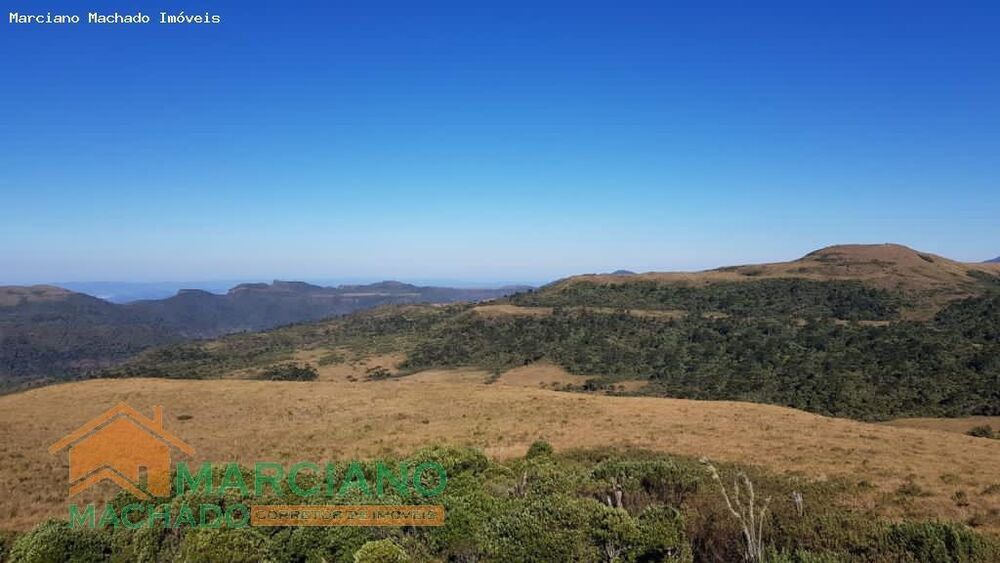 Sítio, 575 hectares - Foto 3