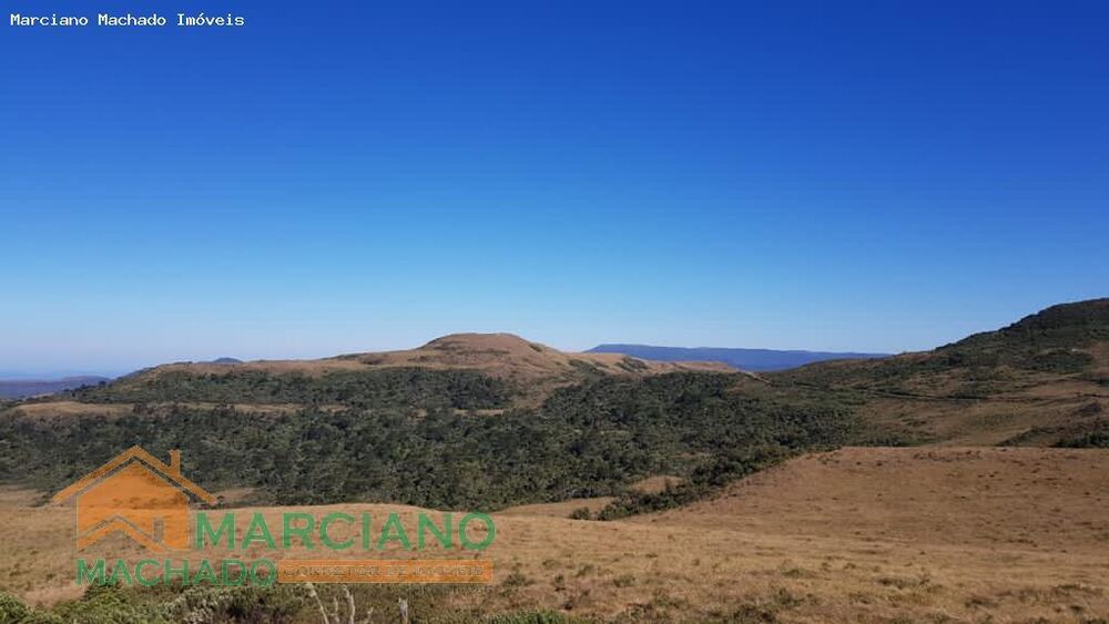 Sítio, 575 hectares - Foto 7