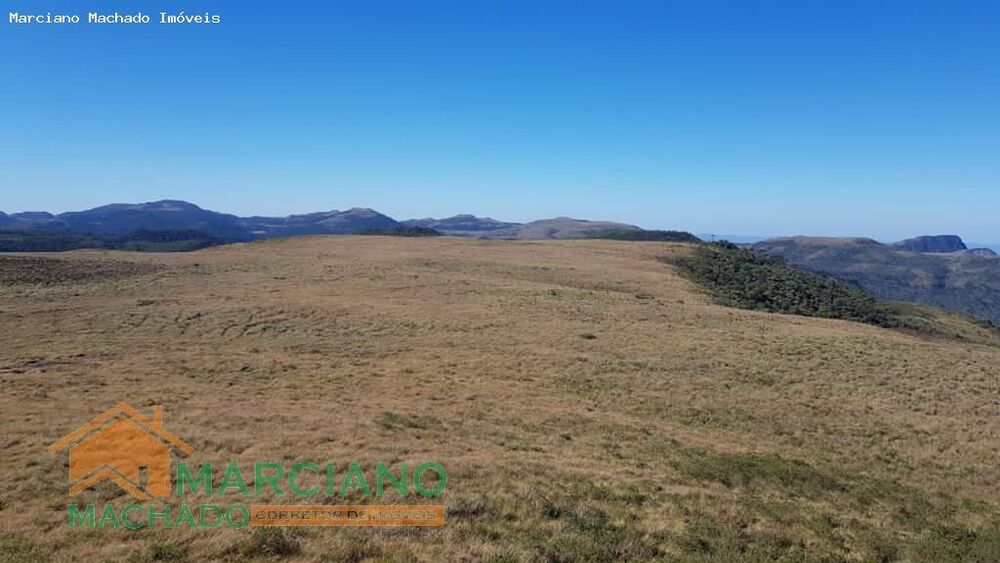 Sítio, 575 hectares - Foto 4