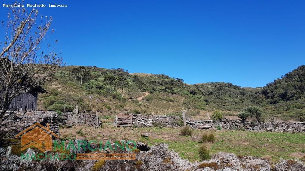 Sítio, 575 hectares - Foto 10