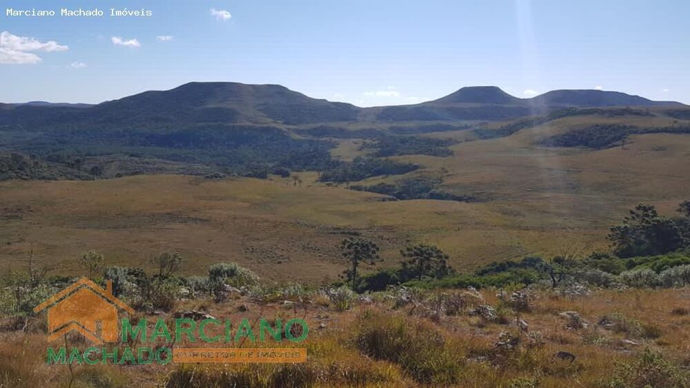 Sítio, 575 hectares - Foto 5