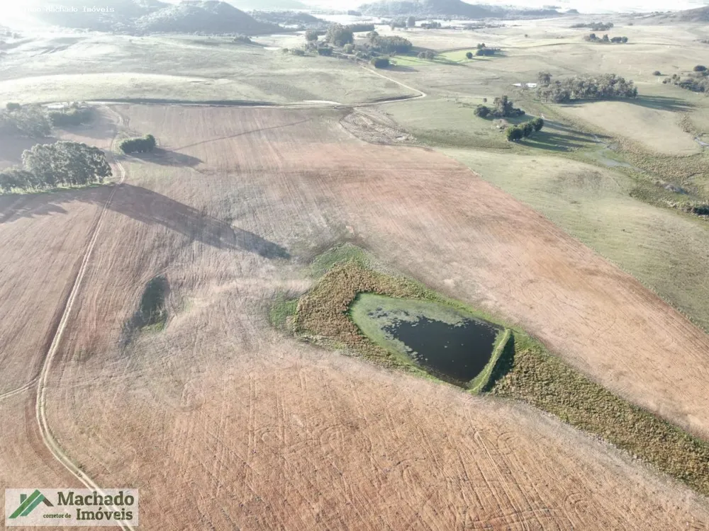Fazenda, 139 hectares - Foto 1