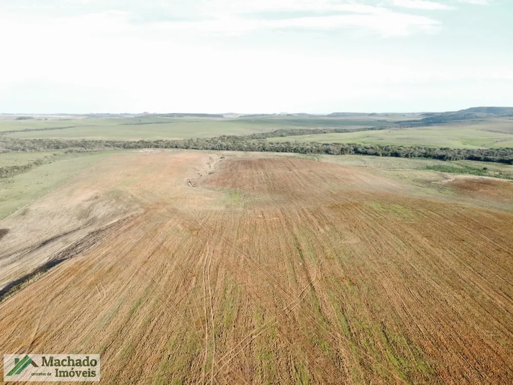 Fazenda, 139 hectares - Foto 2