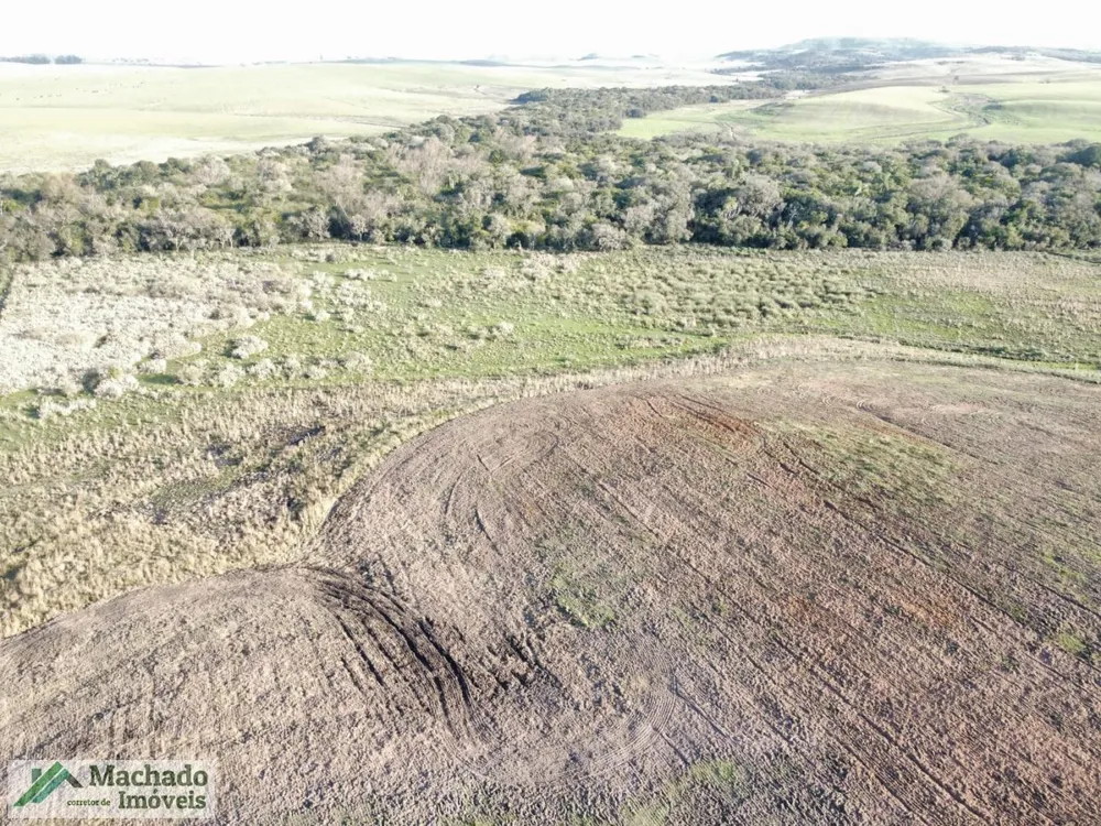 Fazenda, 139 hectares - Foto 3