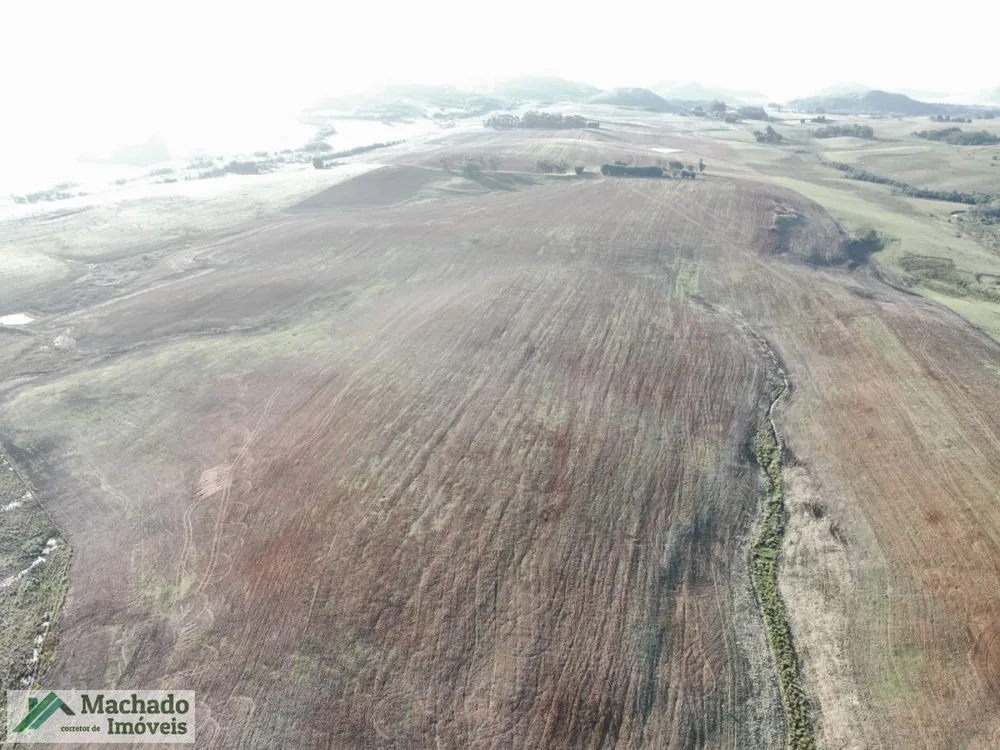 Fazenda, 139 hectares - Foto 4