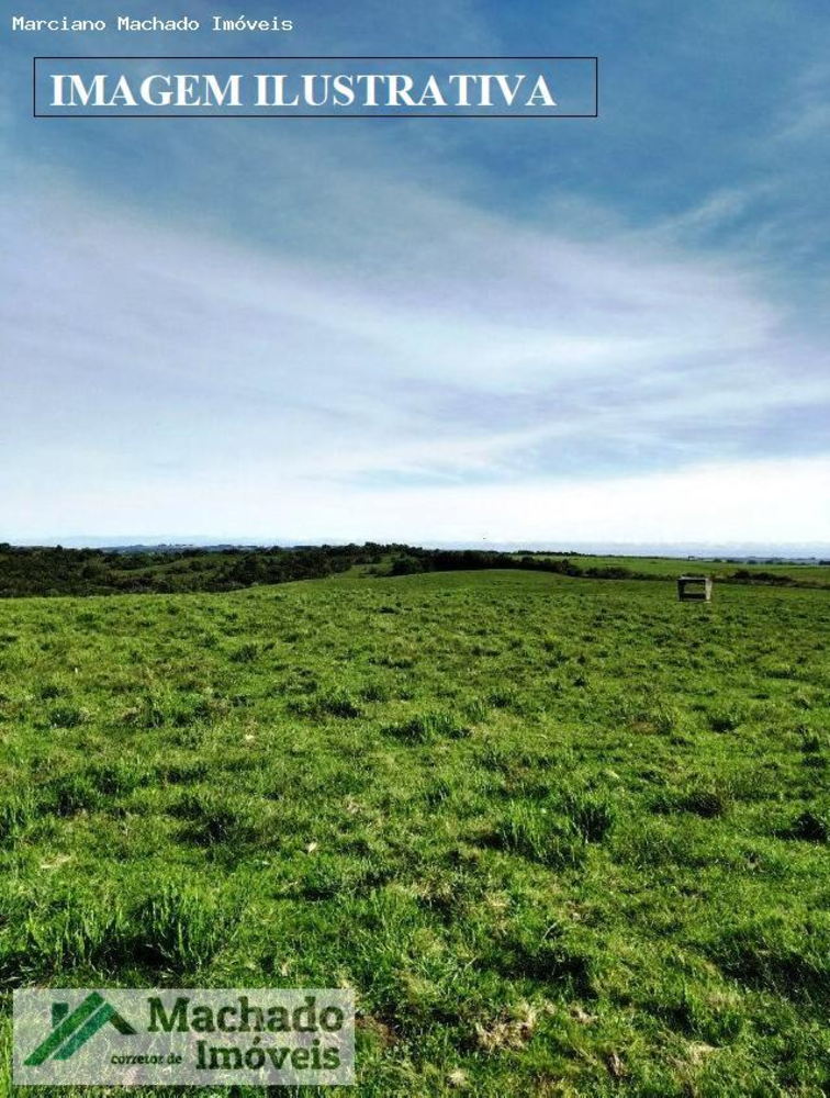 Sítio, 20 hectares - Foto 3