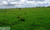 Sítio, 20 hectares - Foto 1