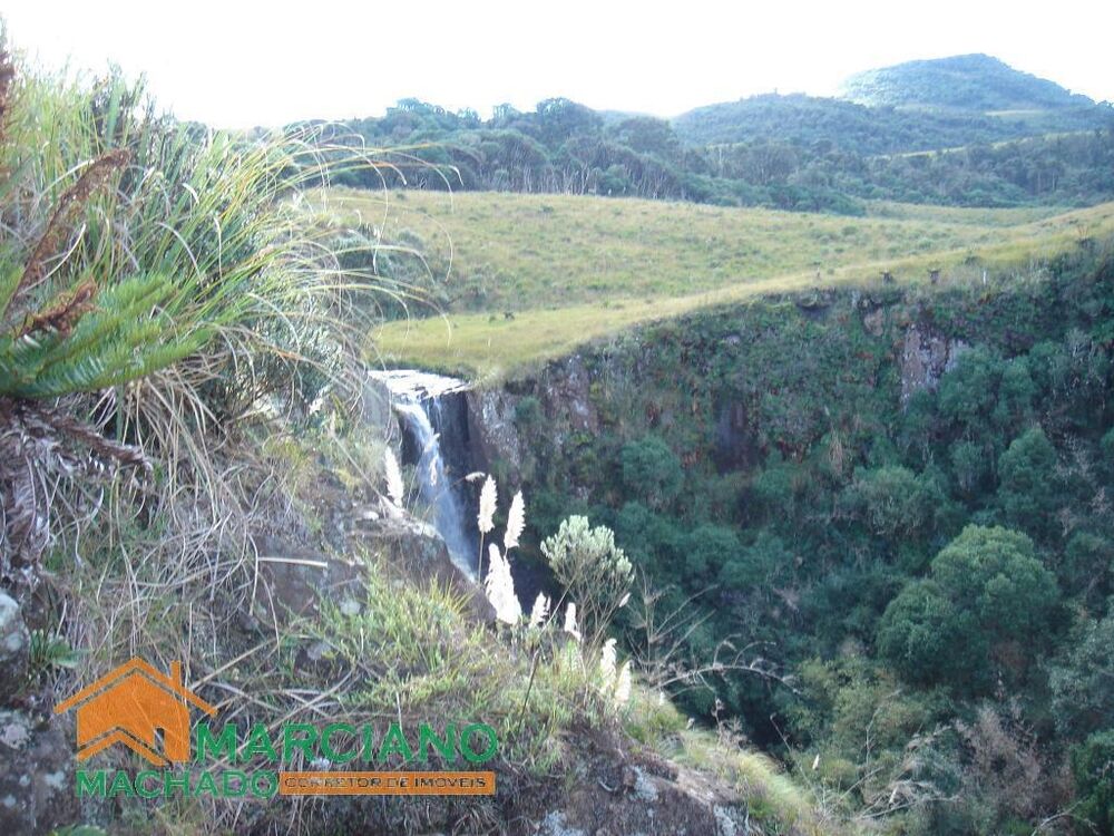 Terreno, 425 hectares - Foto 6