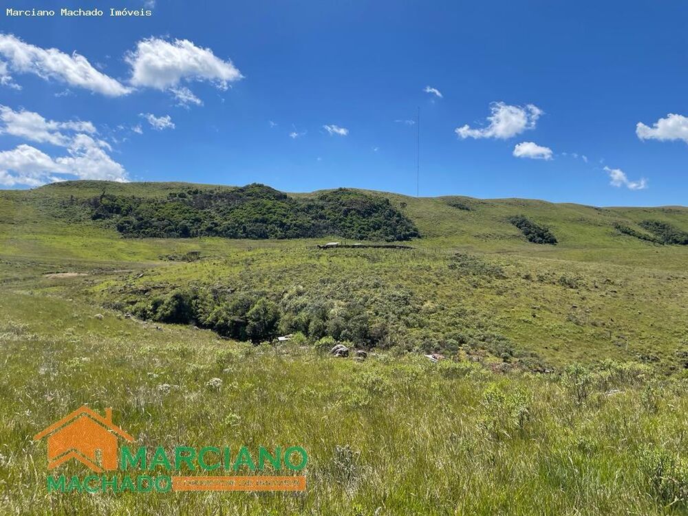 Terreno, 425 hectares - Foto 3