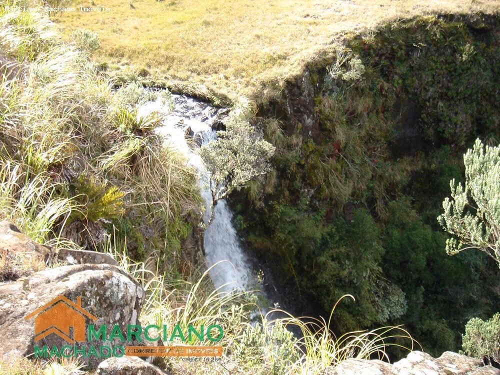 Terreno, 425 hectares - Foto 4