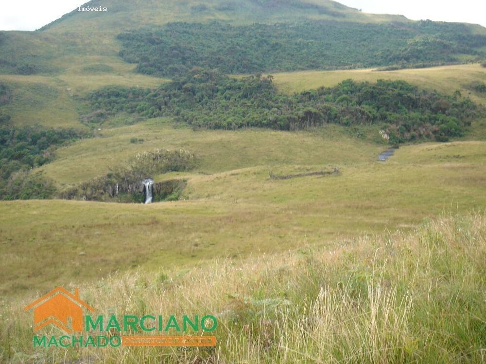 Terreno, 425 hectares - Foto 1