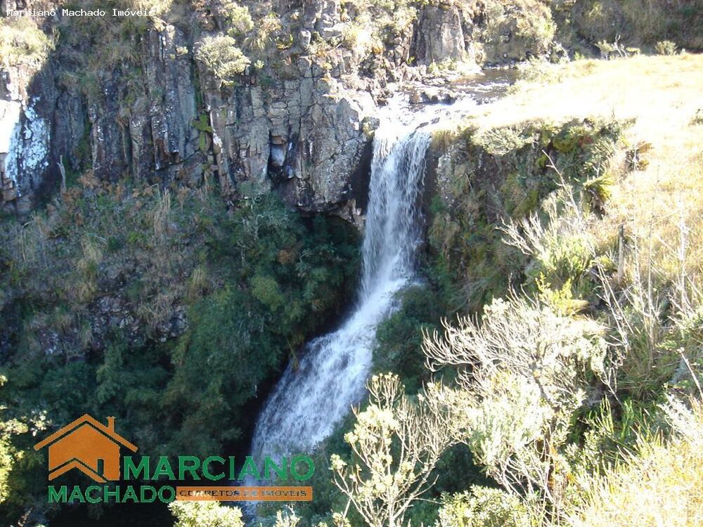 Terreno, 425 hectares - Foto 7