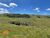 Terreno, 456 hectares - Foto 1