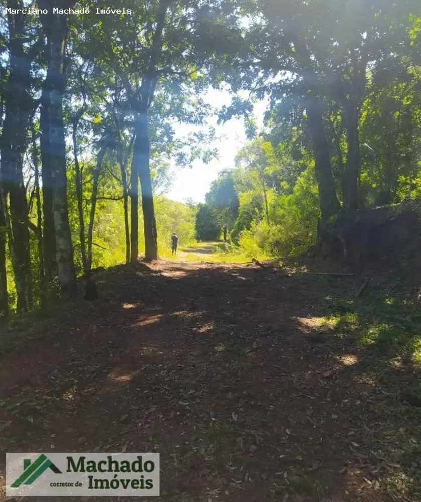 Fazenda, 44 hectares - Foto 1