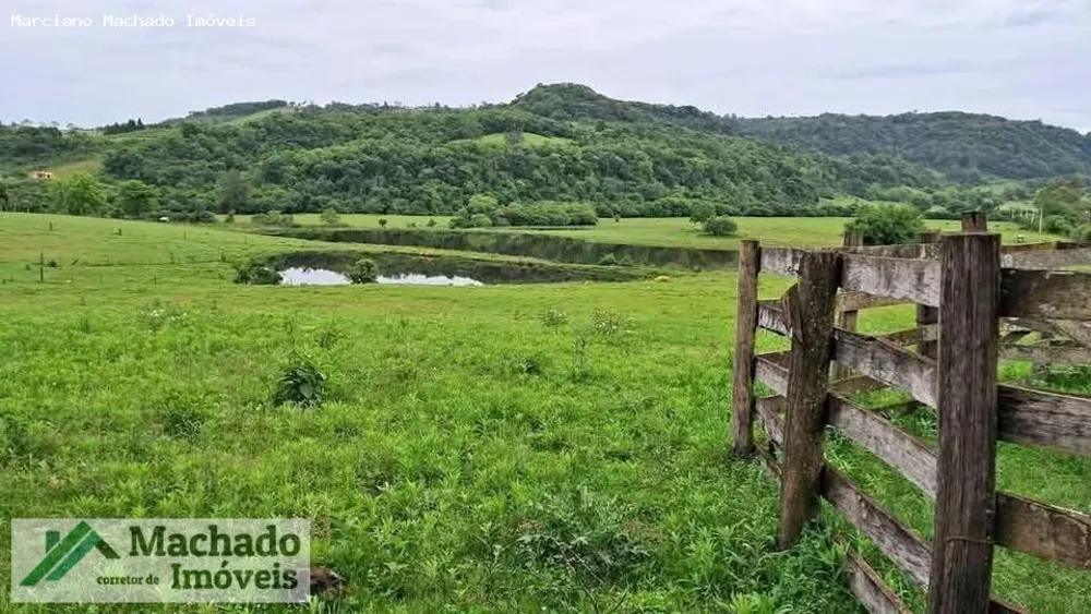 Sítio, 44 hectares - Foto 2