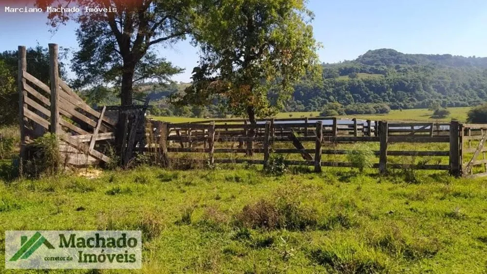 Sítio, 44 hectares - Foto 1