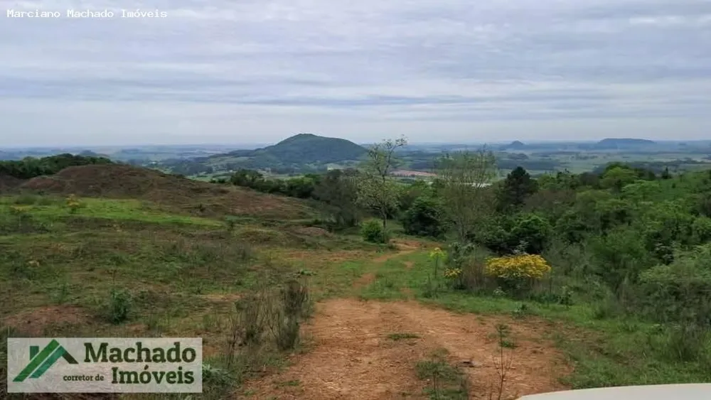 Sítio, 44 hectares - Foto 7