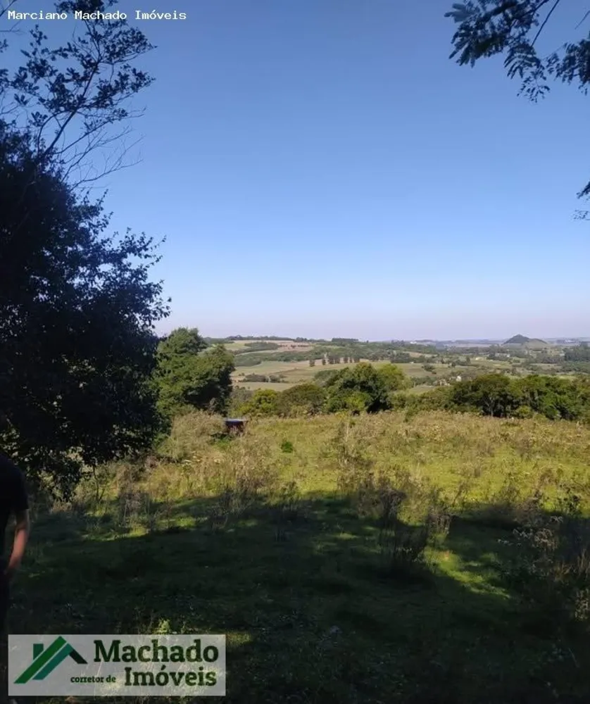 Fazenda, 44 hectares - Foto 2