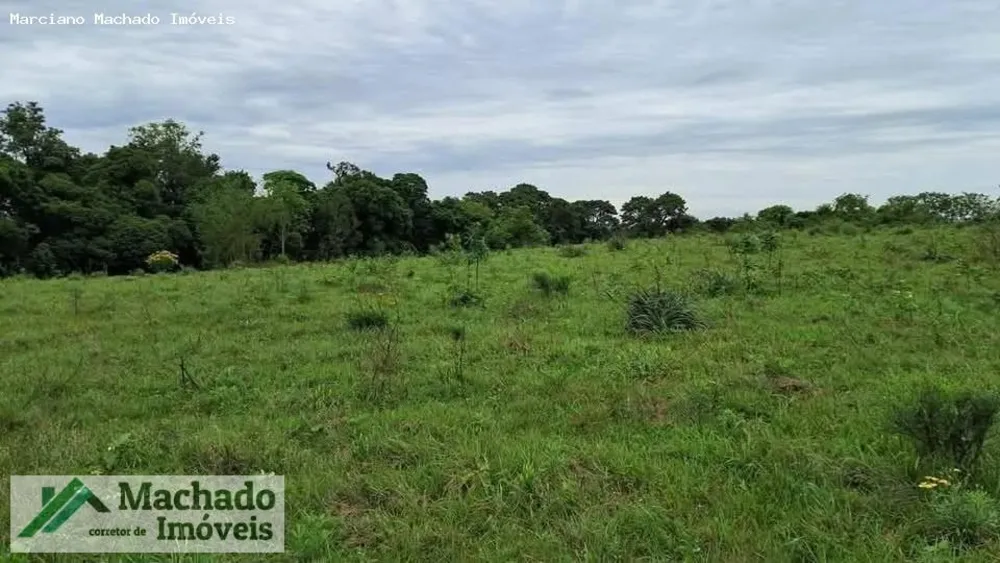 Sítio, 44 hectares - Foto 4