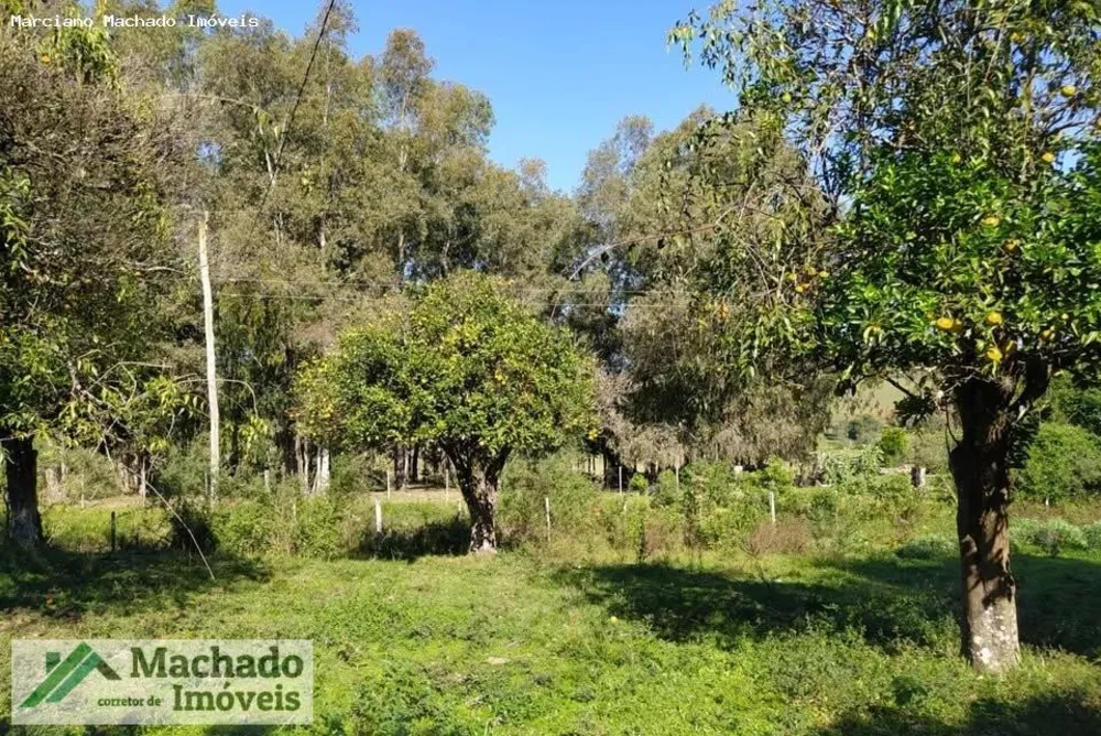 Fazenda, 44 hectares - Foto 4