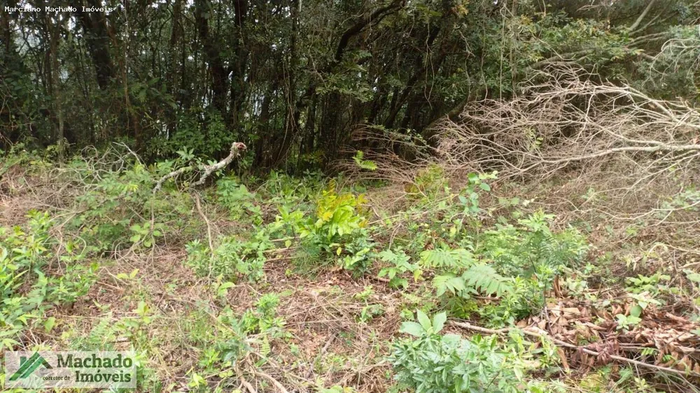 Terreno, 2 hectares - Foto 8