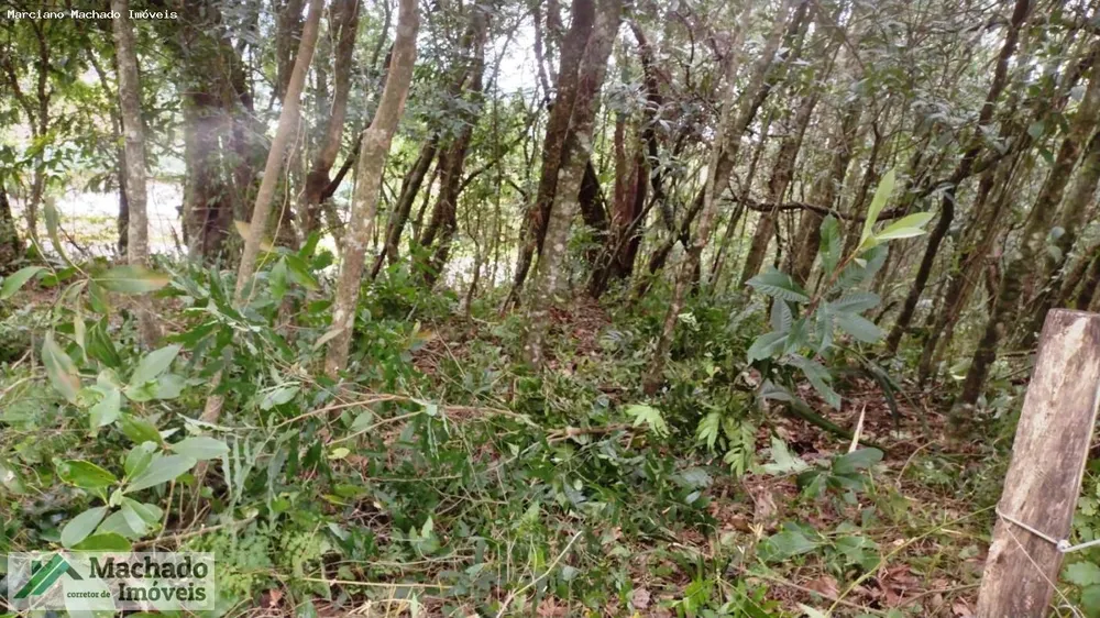 Terreno, 2 hectares - Foto 7
