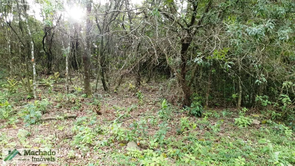 Terreno, 2 hectares - Foto 1