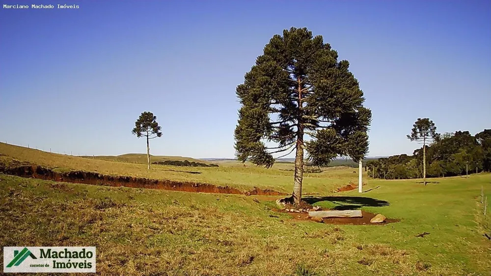 Fazenda, 30 hectares - Foto 2