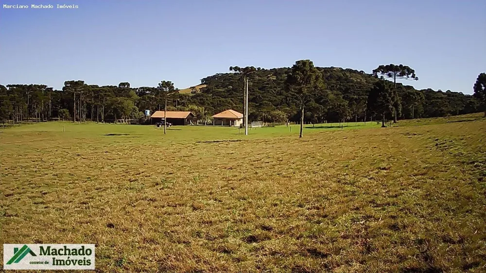 Fazenda, 30 hectares - Foto 1