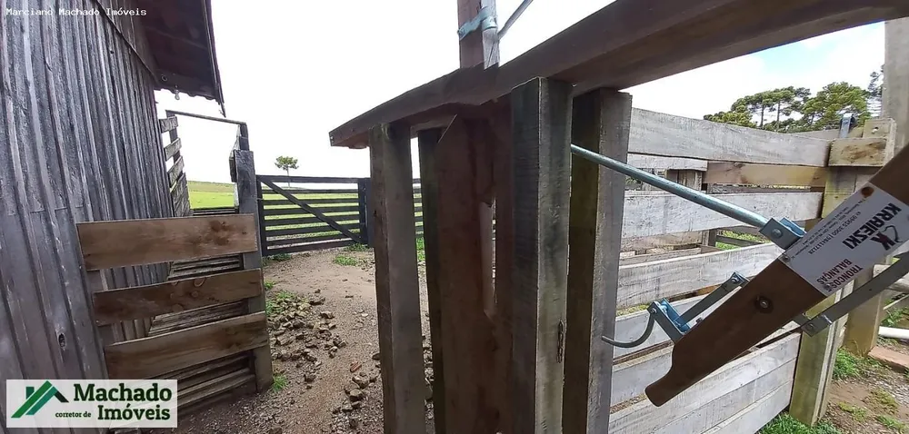 Fazenda, 30 hectares - Foto 4