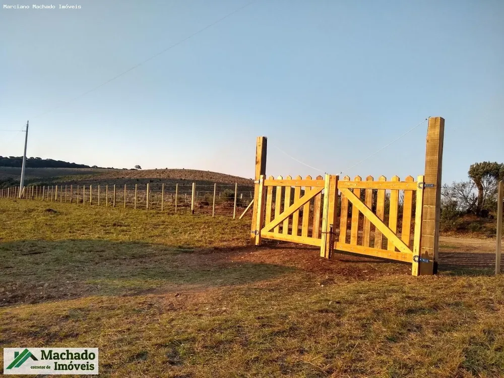 Fazenda, 30 hectares - Foto 3