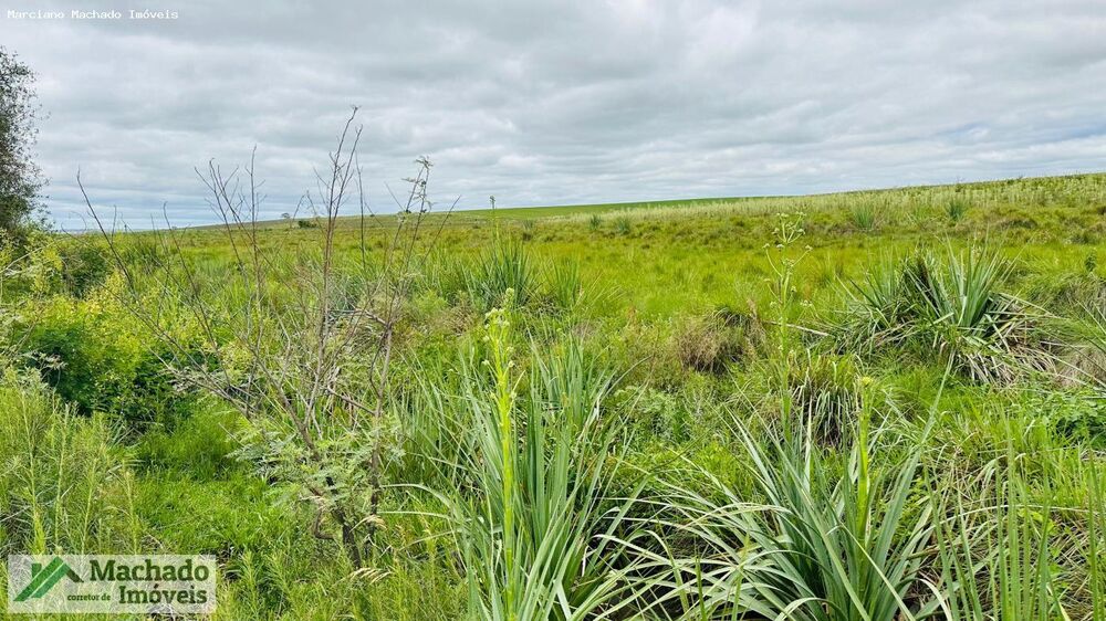 Terreno à venda, 810000m² - Foto 3