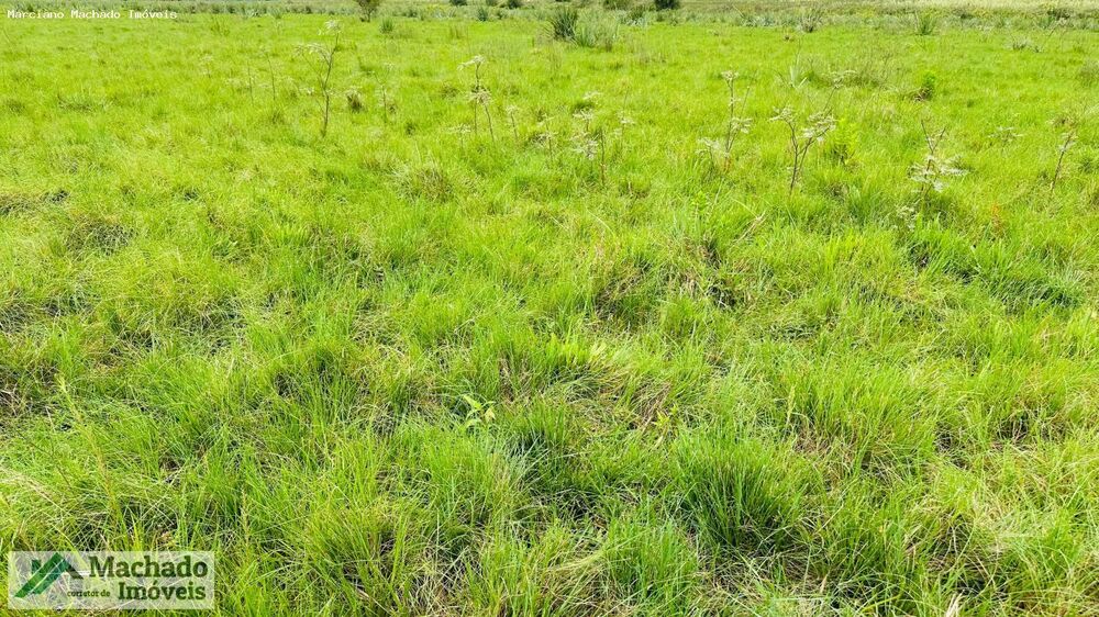 Terreno à venda, 810000m² - Foto 5