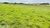 Terreno, 81 hectares - Foto 2