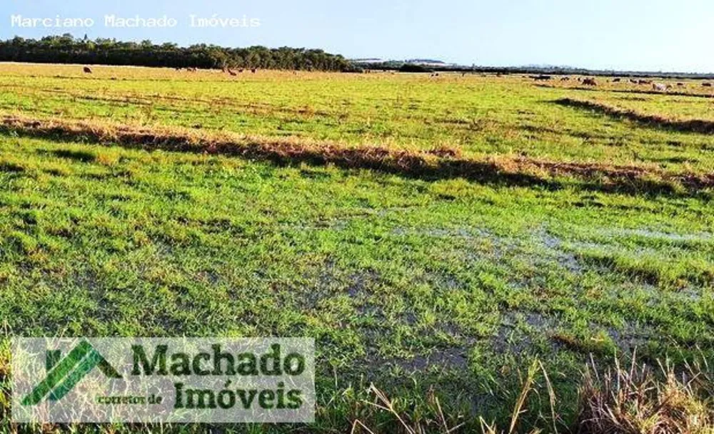 Fazenda, 94 hectares - Foto 2