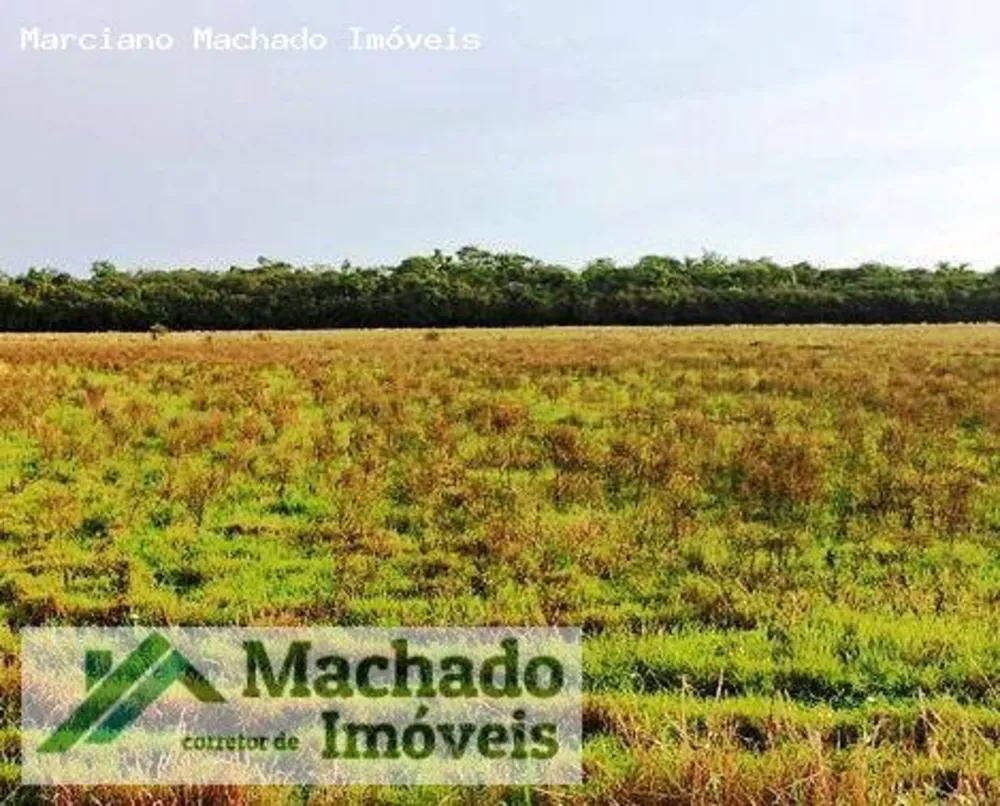 Fazenda, 94 hectares - Foto 1