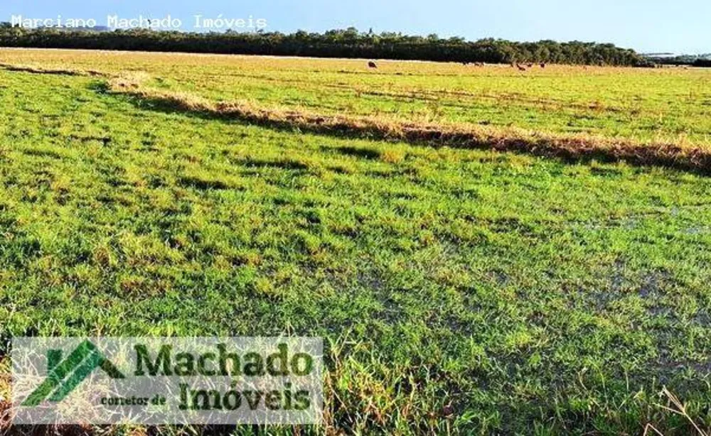 Fazenda, 94 hectares - Foto 3