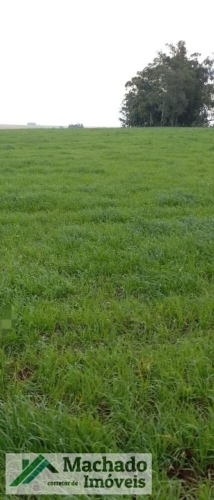 Fazenda à venda, 38m² - Foto 2