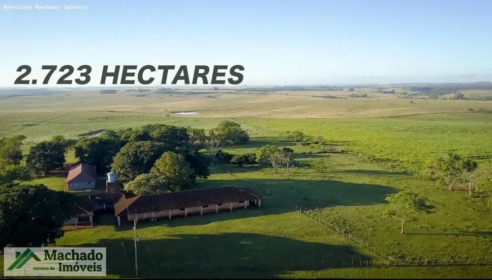 Fazenda, 4847 hectares - Foto 13