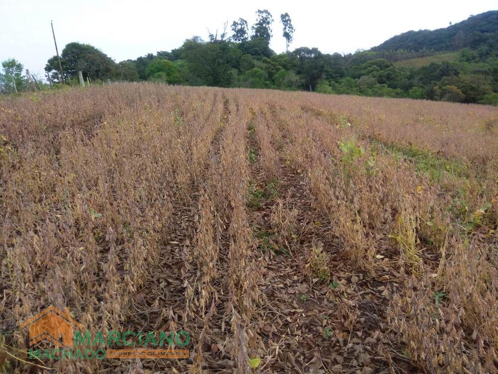 Loteamento e Condomínio, 140 hectares - Foto 1