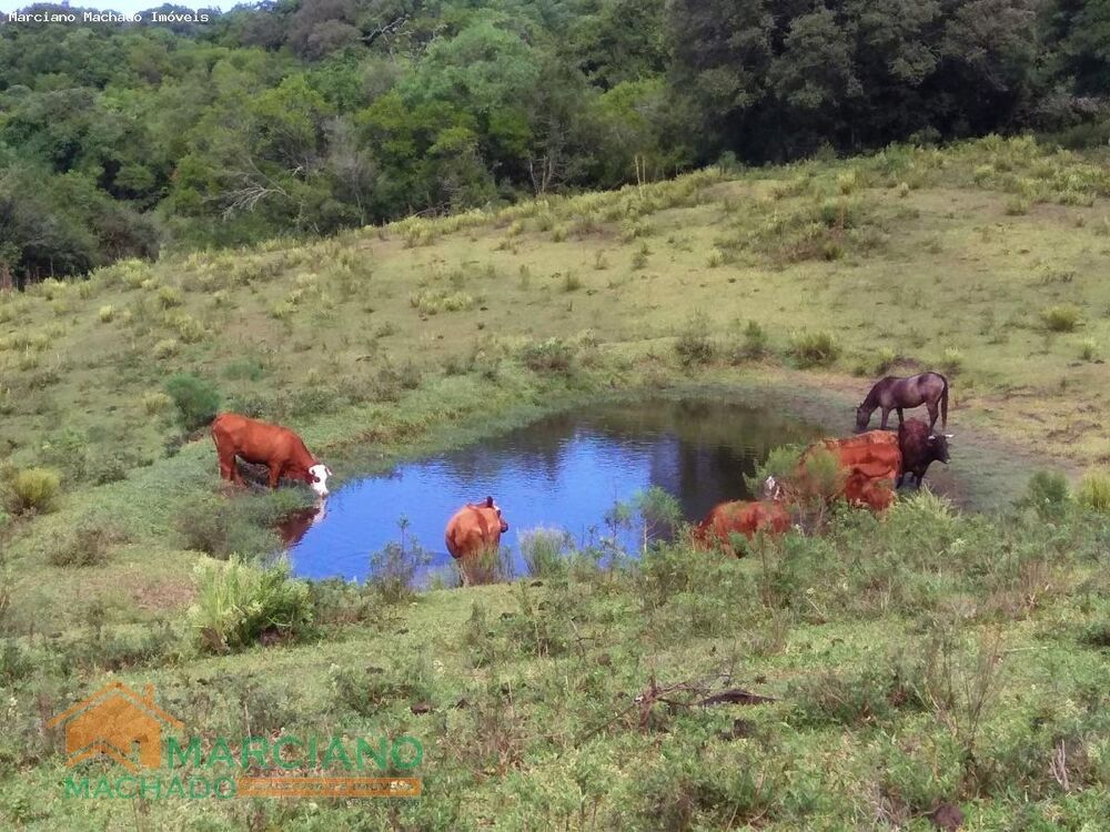 Loteamento e Condomínio, 140 hectares - Foto 5